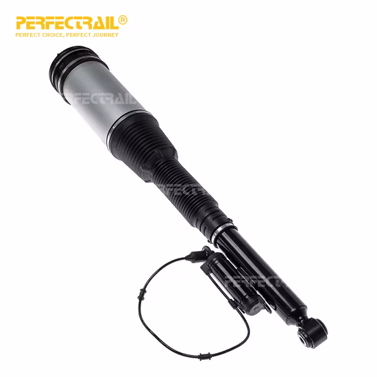 Fabricant de pièces automobiles, pièces de rechange avant adaptées à VW Tourage Audi Q7 Porsche Cayenne 7L8616039D 7L8616040D, amortisseurs de jambe de suspension pneumatique